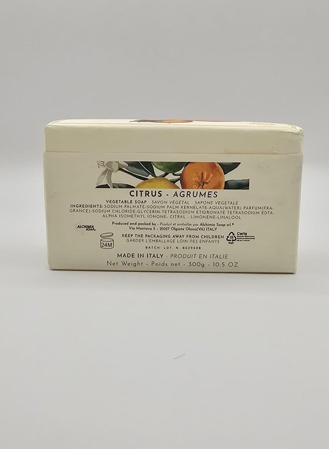 Alchimia Citrus Fine Vegetable Soap Bar, Luxury Bath Soap, 10.5 oz - Image 2